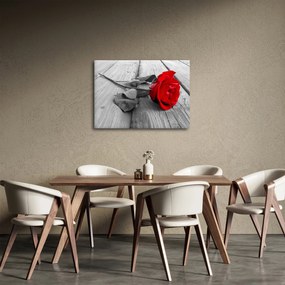 Obraz czerwonej róży (70x50 cm)