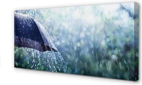 Zdjęcie na płótnie Deszczowe Krople na Parasolu