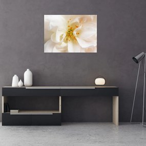 Obraz - Kwiat (70x50 cm)