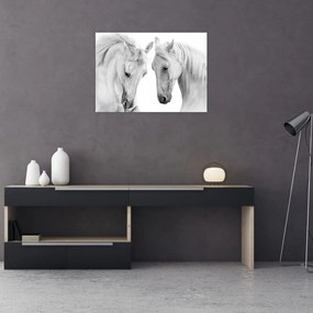 Obraz na szkle białych koni (70x50 cm)