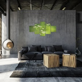 Obraz stokrotek (125x70 cm)