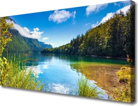 Obraz canvas Barwny Dywan Tulipanów