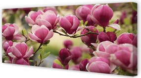 Zdjęcie na płótnie Kwitnące Drzewa