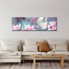 Obraz - Motyl na drzewie wiśni (170x50 cm)