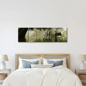 Obraz porannej mgły (170x50 cm)