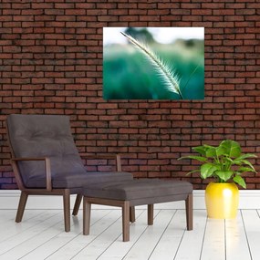 Obraz źdźbła trawy (70x50 cm)