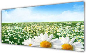 Szkło do Kuchni na Ścianę Dywan Białych Stokrotek