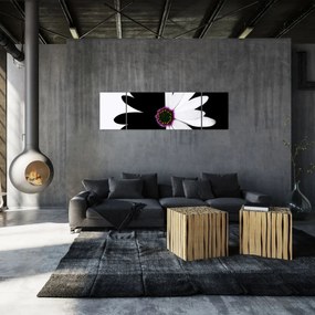 Obraz czarno - białego kwiatu (170x50 cm)