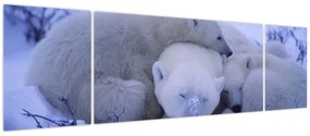 Obraz - Niedźwiadki polarne (170x50 cm)