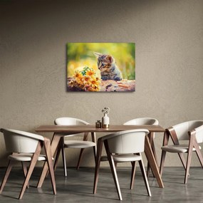 Obraz kotka patrzącego na kwiat (70x50 cm)