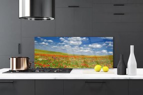 Panel Kuchenny Sielski Pejzaż Polny