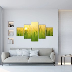 Obraz pola ze zbożem (125x70 cm)