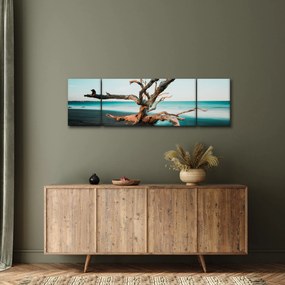 Obraz -  Wyłowiono na plaży (170x50 cm)