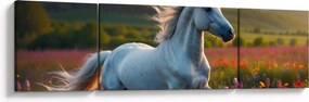 Obraz - Jednorożec (170x50 cm)