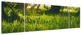 Obraz natury - łąka (170x50 cm)