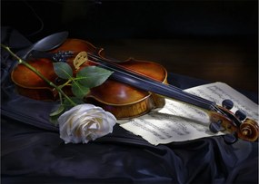 Obraz na szkle - Róże i skrzypce (70x50 cm)
