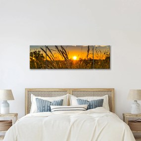 Obraz pola o zachodzie słońca (170x50 cm)