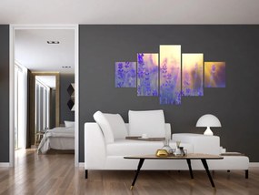 Obraz - Lawenda (125x70 cm)