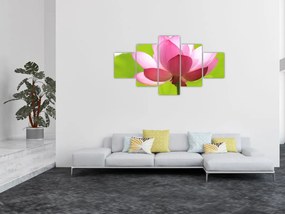 Obraz kwiatu lotosu (125x70 cm)