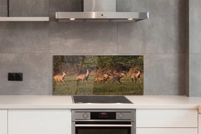 Panel Szklany Jelenie na Polu o Wschodzie Słońca