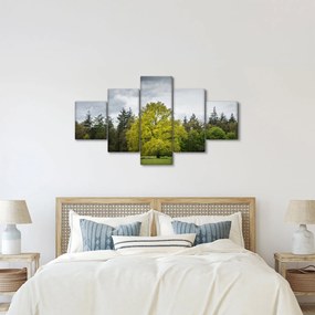 Obraz zielonego drzewa na środku pola (125x70 cm)