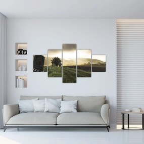 Obraz łąki (125x70 cm)