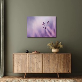 Obraz - Fioletowe motyle (70x50 cm)