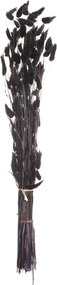 Bukiet Dmuszka 60cm dark brown