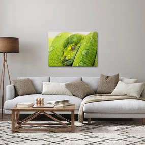 Obraz węża (70x50 cm)
