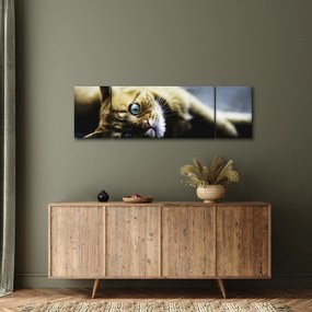 Obraz kota (170x50 cm)