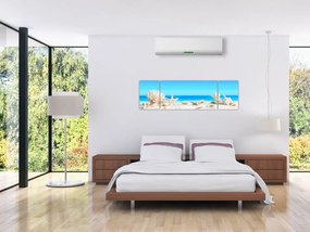 Obraz - Martwa natura z muszelkami (170x50 cm)