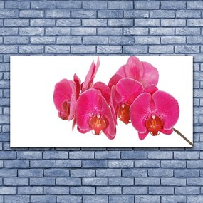 Obraz na płótnie Romantyczna Flora Ogrodowa