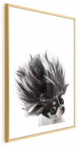 Plakat Chihuahua 29,7x42 cm z ramą złotą z marginesem ARTGEIST B