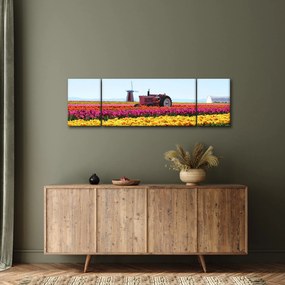 Obraz farmy tulipanów (170x50 cm)