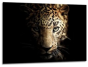 Szklany obraz 100x70 cm Leopard – Styler