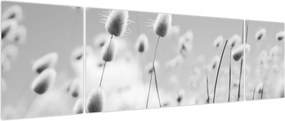 Obraz - Trawa z ogonkiem króliczka Boho (170x50 cm)