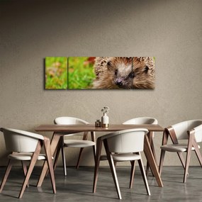 Obraz jeża (170x50 cm)