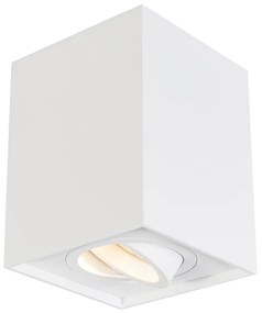 Reflektor biały regulowany - Quadro 1 Up Nowoczesny Oswietlenie wewnetrzne