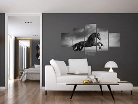 Obraz - Czarny i biały koń (125x70 cm)