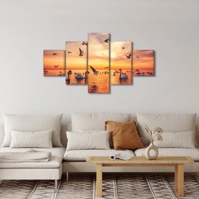 Obraz - Łabędzie (125x70 cm)
