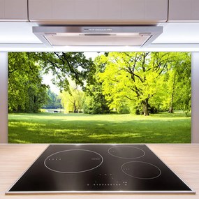 Panel Szklany Parkowa Aleja w Słońcu