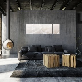Obraz - Pióro (170x50 cm)