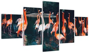 Obraz stada flamingów (125x70 cm)