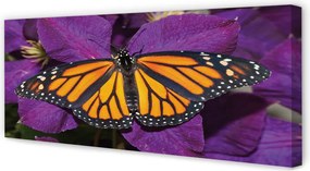 Duży obraz na płótnie Kwiaty i Kolorowy Motyl