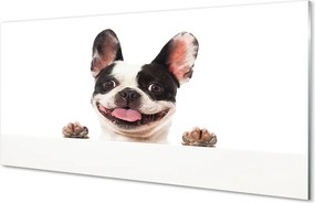 Panel Kuchenny Szklany Spojrzenie Wiernego Przyjaciela