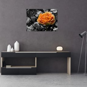 Obraz kwiatu (70x50 cm)