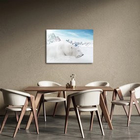 Obraz - Niedźwiedź polarny (70x50 cm)