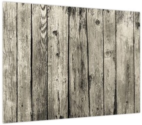 Obraz - Drzewo (70x50 cm)