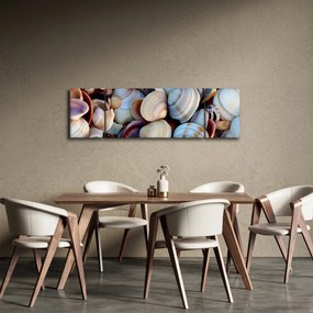 Obraz muszelek (170x50 cm)
