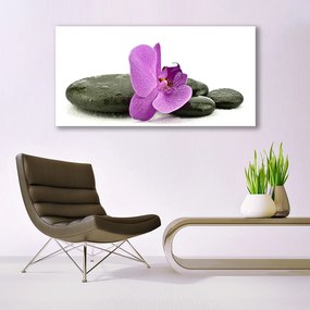 Obraz canvas Królewska Orchidea w Detalu